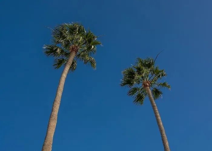 San Fermin 232 - By Az